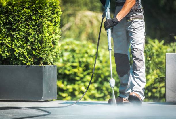 Best Solar Panel Cleaning  in Rogersville, TN