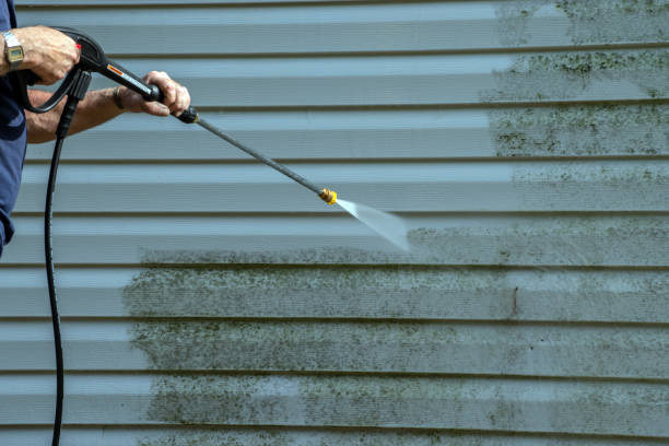 Best Sidewalk and Walkway Cleaning  in Rogersville, TN
