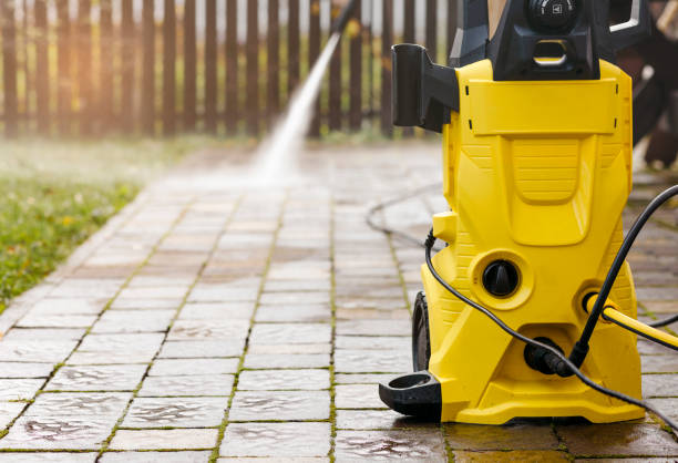 Best Soft Washing  in Rogersville, TN