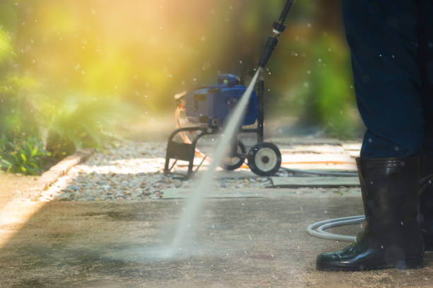 Best Roof Washing  in Rogersville, TN